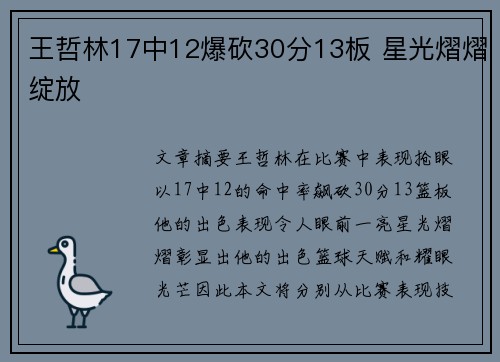 王哲林17中12爆砍30分13板 星光熠熠绽放